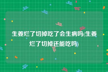生姜烂了切掉吃了会生病吗(生姜烂了切掉还能吃吗)