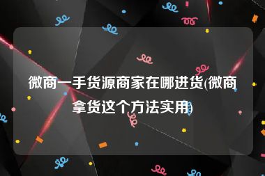 微商一手货源商家在哪进货(微商拿货这个方法实用)