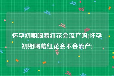 怀孕初期喝藏红花会流产吗(怀孕初期喝藏红花会不会流产)