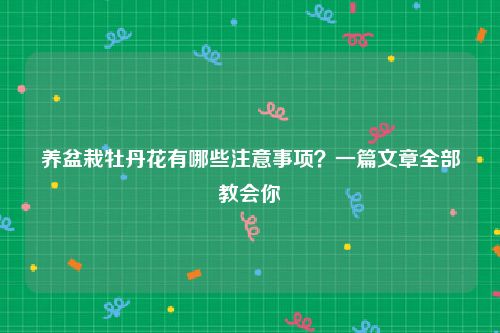 养盆栽牡丹花有哪些注意事项？一篇文章全部教会你