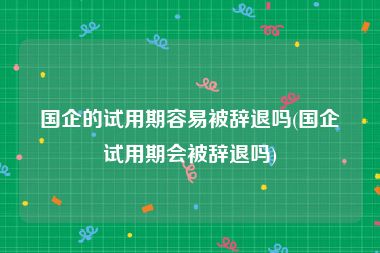 国企的试用期容易被辞退吗(国企试用期会被辞退吗)