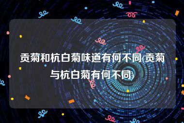贡菊和杭白菊味道有何不同(贡菊与杭白菊有何不同)