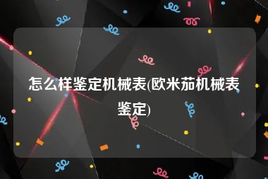 怎么样鉴定机械表(欧米茄机械表鉴定)