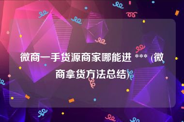 微商一手货源商家哪能进 *** (微商拿货方法总结)