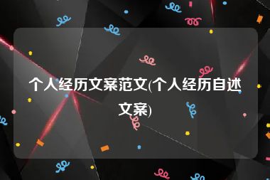 个人经历文案范文(个人经历自述文案)