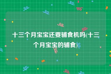 十三个月宝宝还要辅食机吗(十三个月宝宝的辅食)