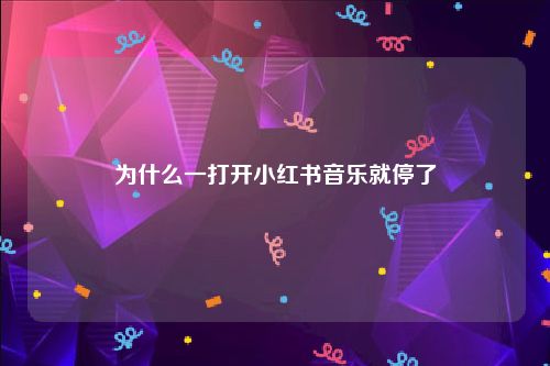 为什么一打开小红书音乐就停了