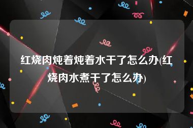 红烧肉炖着炖着水干了怎么办(红烧肉水煮干了怎么办)