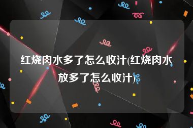 红烧肉水多了怎么收汁(红烧肉水放多了怎么收汁)