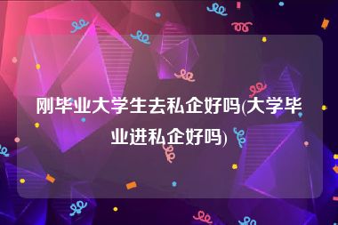 刚毕业大学生去私企好吗(大学毕业进私企好吗)