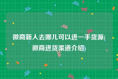 微商新人去哪儿可以进一手货源(微商进货渠道介绍)