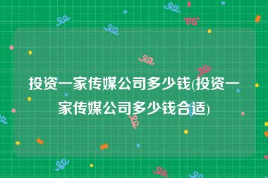 投资一家传媒公司多少钱(投资一家传媒公司多少钱合适)