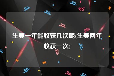 生姜一年能收获几次呢(生姜两年收获一次)