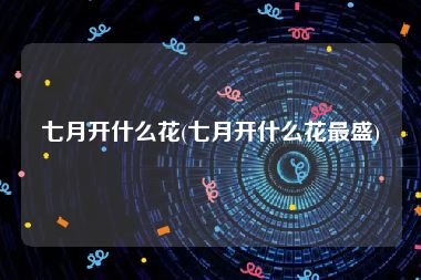 七月开什么花(七月开什么花最盛)