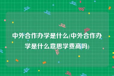 中外合作办学是什么(中外合作办学是什么意思学费高吗)