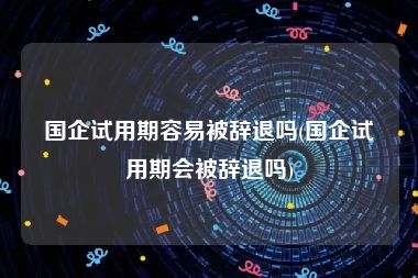 国企试用期容易被辞退吗(国企试用期会被辞退吗)