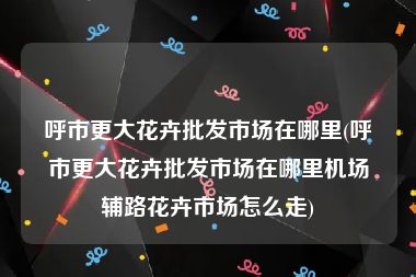 呼市更大花卉批发市场在哪里(呼市更大花卉批发市场在哪里机场辅路花卉市场怎么走)