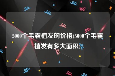 5000个毛囊植发的价格(5000个毛囊植发有多大面积)