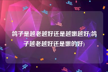 鸽子是越老越好还是越嫩越好(鸽子越老越好还是嫩的好)