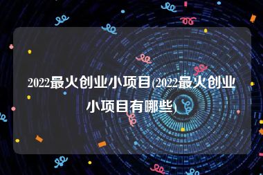 2022最火创业小项目(2022最火创业小项目有哪些)