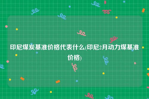 印尼煤炭基准价格代表什么(印尼2月动力煤基准价格)