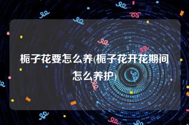 栀子花要怎么养(栀子花开花期间怎么养护)