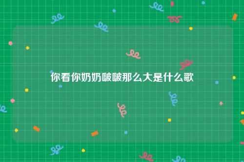 你看你奶奶啵啵那么大是什么歌