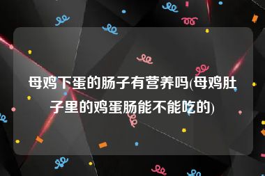 母鸡下蛋的肠子有营养吗(母鸡肚子里的鸡蛋肠能不能吃的)