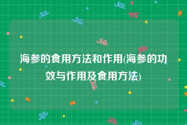 海参的食用方法和作用(海参的功效与作用及食用方法)