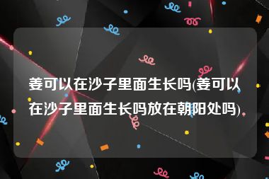 姜可以在沙子里面生长吗(姜可以在沙子里面生长吗放在朝阳处吗)