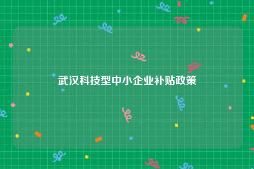 武汉科技型中小企业补贴政策