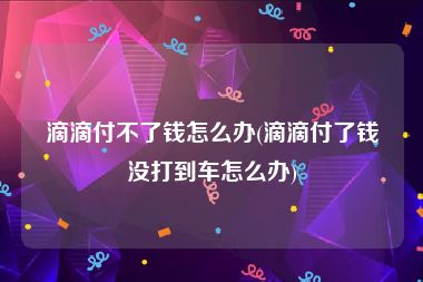 滴滴付不了钱怎么办(滴滴付了钱没打到车怎么办)