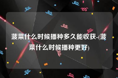 菠菜什么时候播种多久能收获-(菠菜什么时候播种更好)