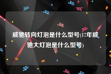 威驰转向灯泡是什么型号(17年威驰大灯泡是什么型号)