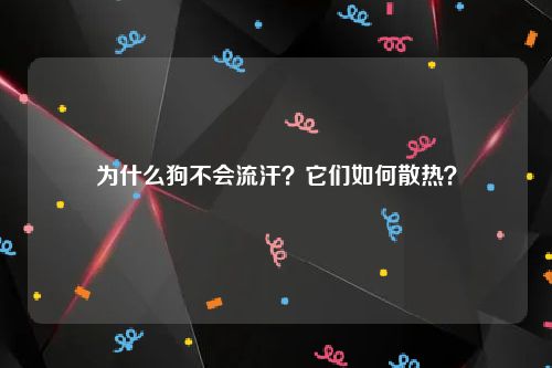 为什么狗不会流汗？它们如何散热？