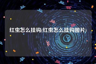 红虫怎么挂钩(红虫怎么挂钩图片)