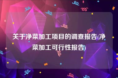 关于净菜加工项目的调查报告(净菜加工可行性报告)