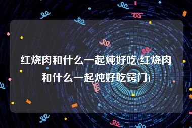 红烧肉和什么一起炖好吃(红烧肉和什么一起炖好吃窍门)